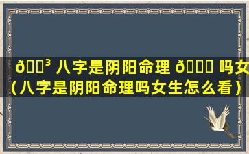 🐳 八字是阴阳命理 🐛 吗女生（八字是阴阳命理吗女生怎么看）